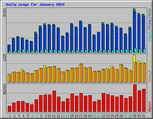 Daily usage for January 2024