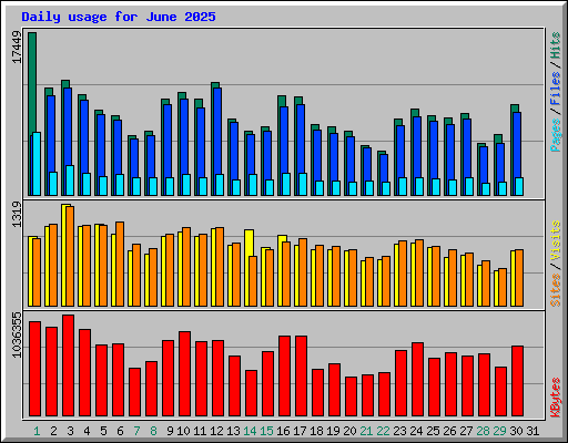 Daily usage for June 2025