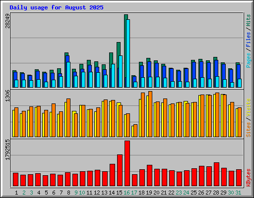 Daily usage for August 2025