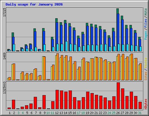 Daily usage for January 2026