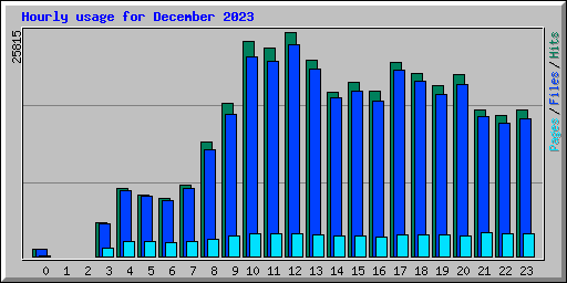 Hourly usage for December 2023