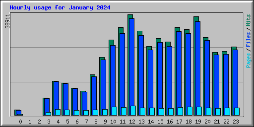 Hourly usage for January 2024