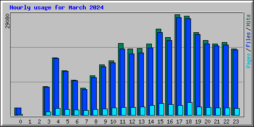 Hourly usage for March 2024