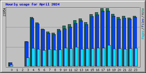 Hourly usage for April 2024