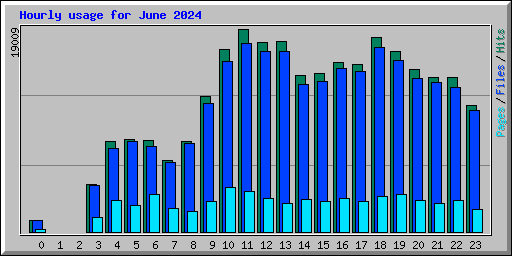 Hourly usage for June 2024