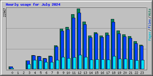 Hourly usage for July 2024