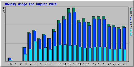 Hourly usage for August 2024