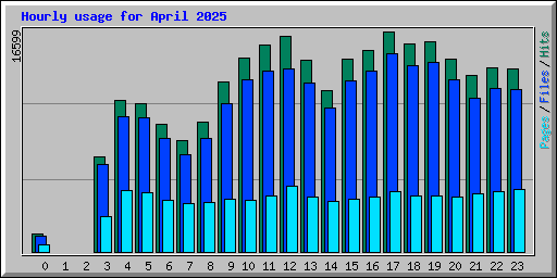 Hourly usage for April 2025
