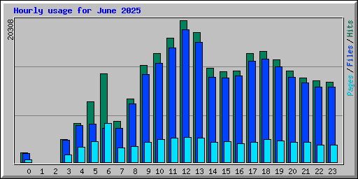 Hourly usage for June 2025
