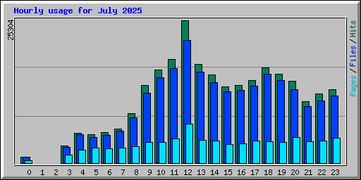 Hourly usage for July 2025