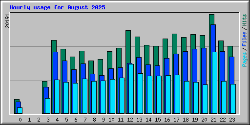 Hourly usage for August 2025
