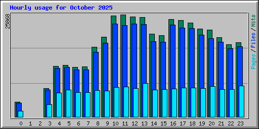 Hourly usage for October 2025
