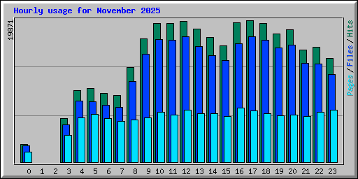 Hourly usage for November 2025