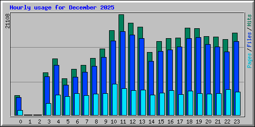 Hourly usage for December 2025