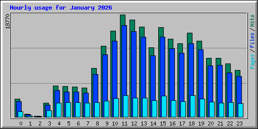 Hourly usage for January 2026