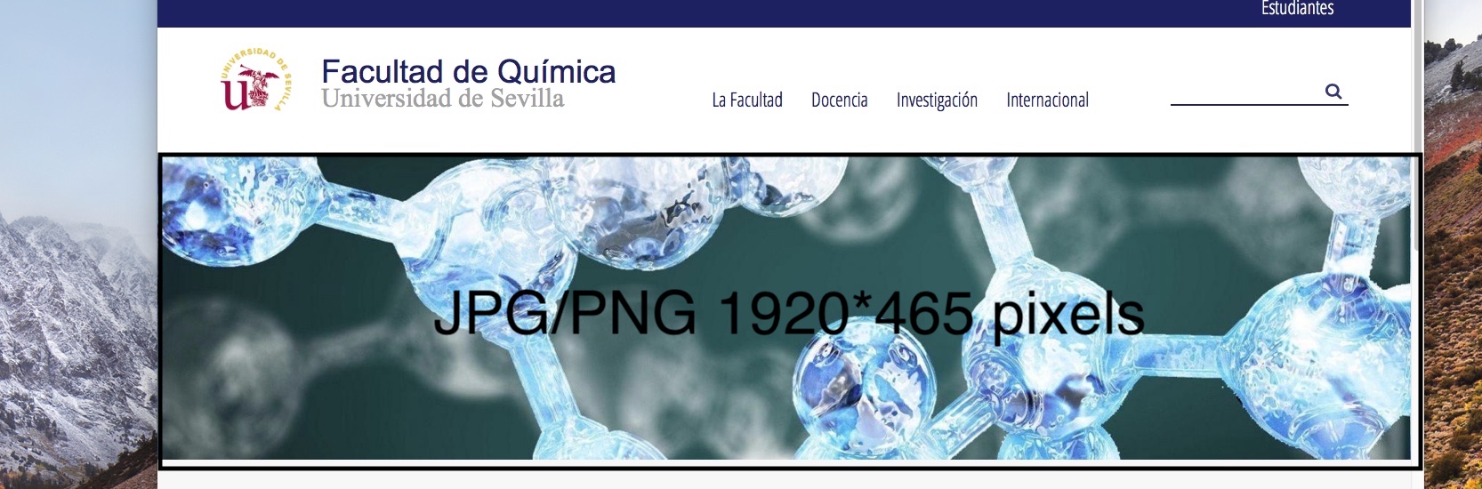 Imagen muestra slider qimiuca