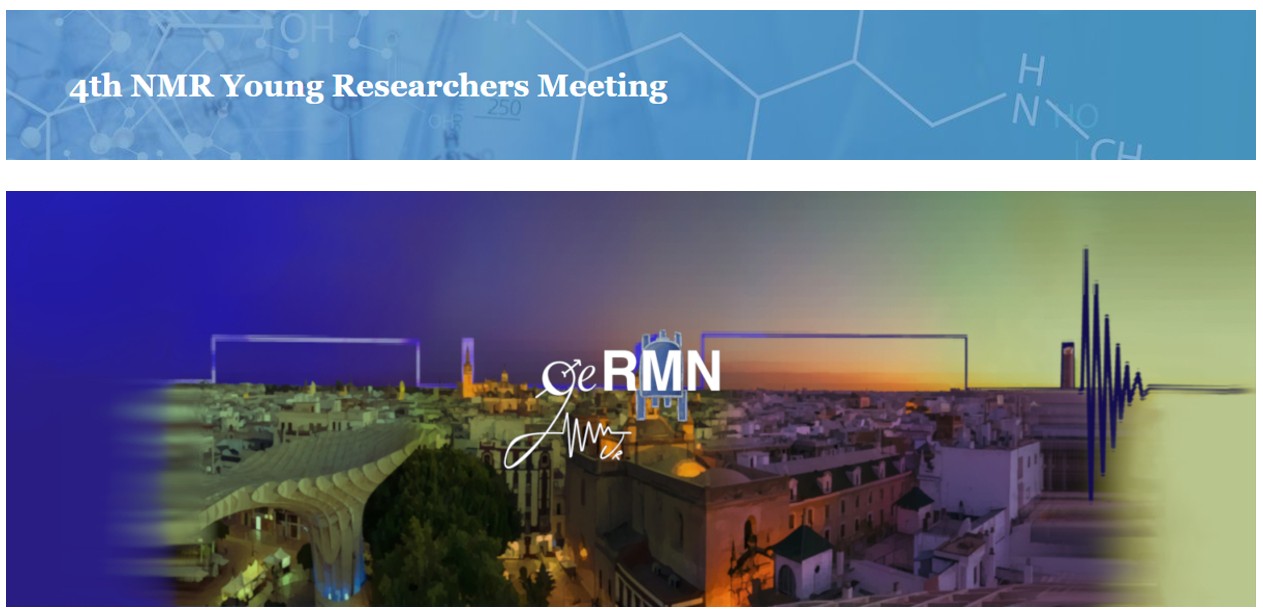 4th NMR Young Researchers Meeting