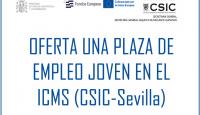 OFERTA DE UNA PLAZA DE EMPLEO JOVEN EN EL ICMS (CSIC-Sevilla)