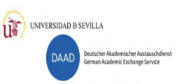Cursos de Alemán financiados por el DAAD